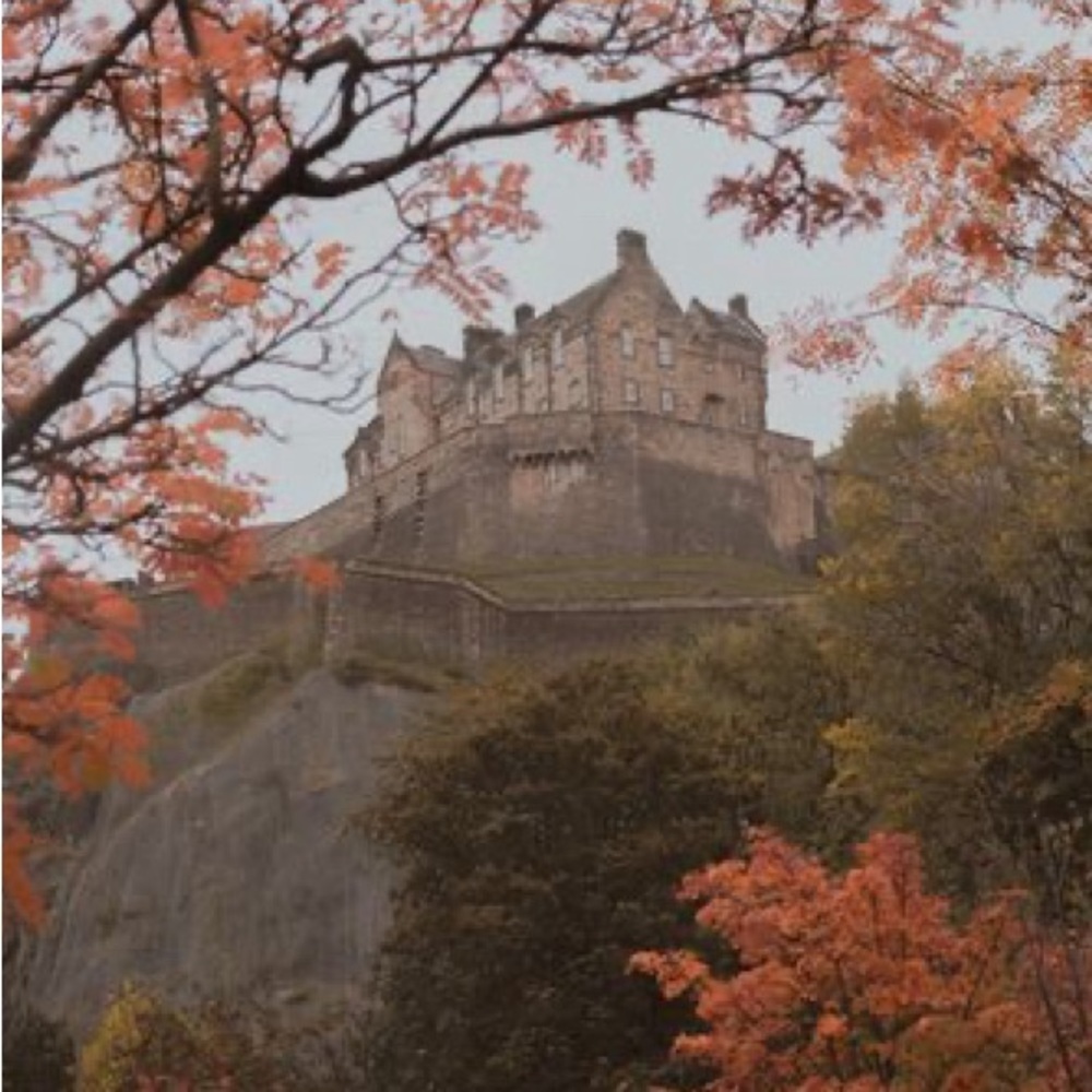 Meet your Posher, Harlow